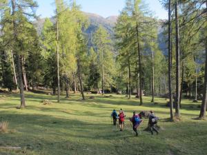 10711094_726343557419646_1379743674220779742_n