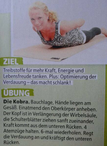 1452033_329459663861203_590737787_n